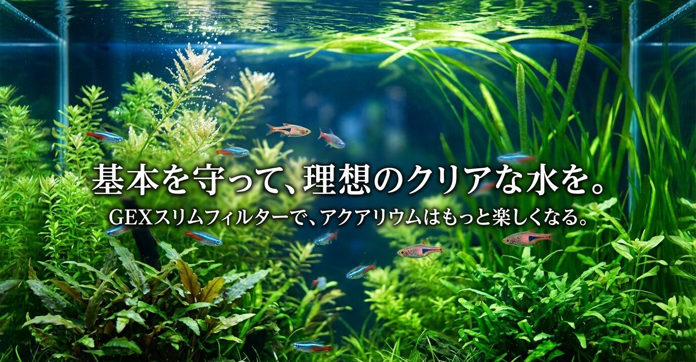 水草が茂る水槽写真に「基本を守って、理想のクリアな水を。GEXスリムフィルターで、アクアリウムはもっと楽しくなる。」という締めメッセージ。