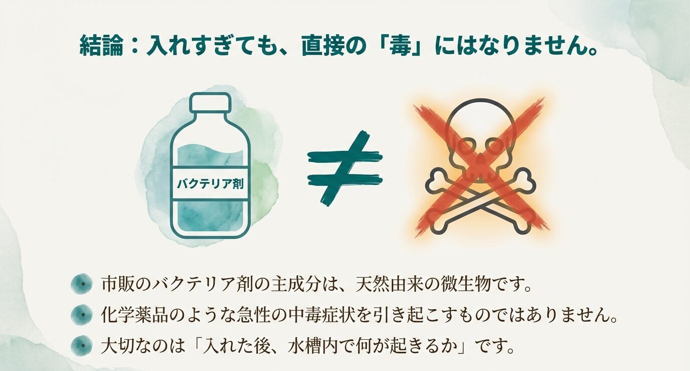 「結論:入れすぎても、直接の『毒』にはなりません。」の見出し。バクテリア剤のボトルと、毒(どくろ)マークに×印。下に「天然由来」「急性中毒ではない」「大切なのは入れた後に水槽内で何が起きるか」等の要点。