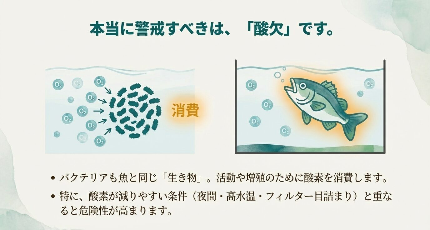 「本当に警戒すべきは、『酸欠』です。」の見出し。バクテリアが酸素を消費する図と、水槽内で魚が口を開けているイラスト。夜間・高水温・フィルター目詰まりなどで危険が高まる旨の箇条書き。