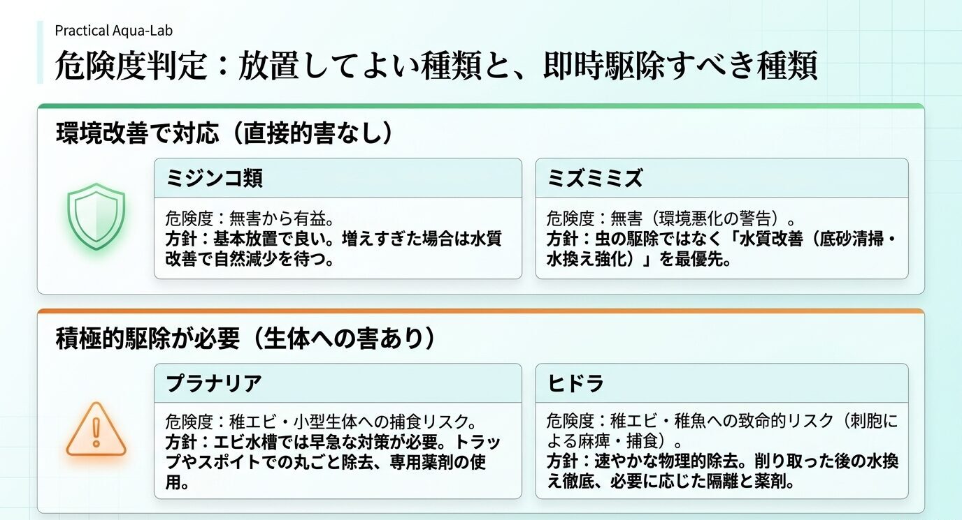 ミジンコ類とミズミミズは環境改善で対応し、プラナリアとヒドラは積極的な駆除が必要であることを示す危険度判定スライド