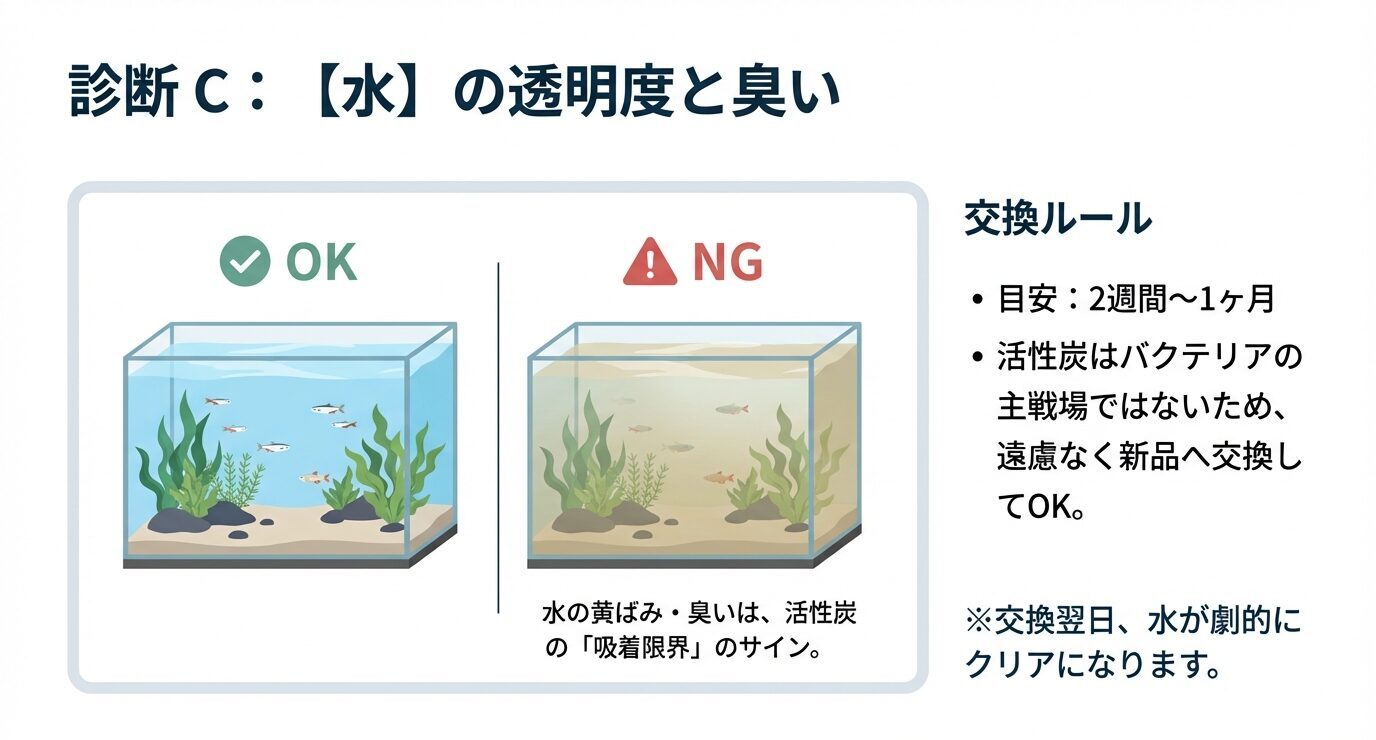 透明な水はOK、黄ばみや臭いがある水はNGとして、活性炭は2週間〜1か月目安で交換、バクテリアへの影響が少ないので新品交換OKと説明