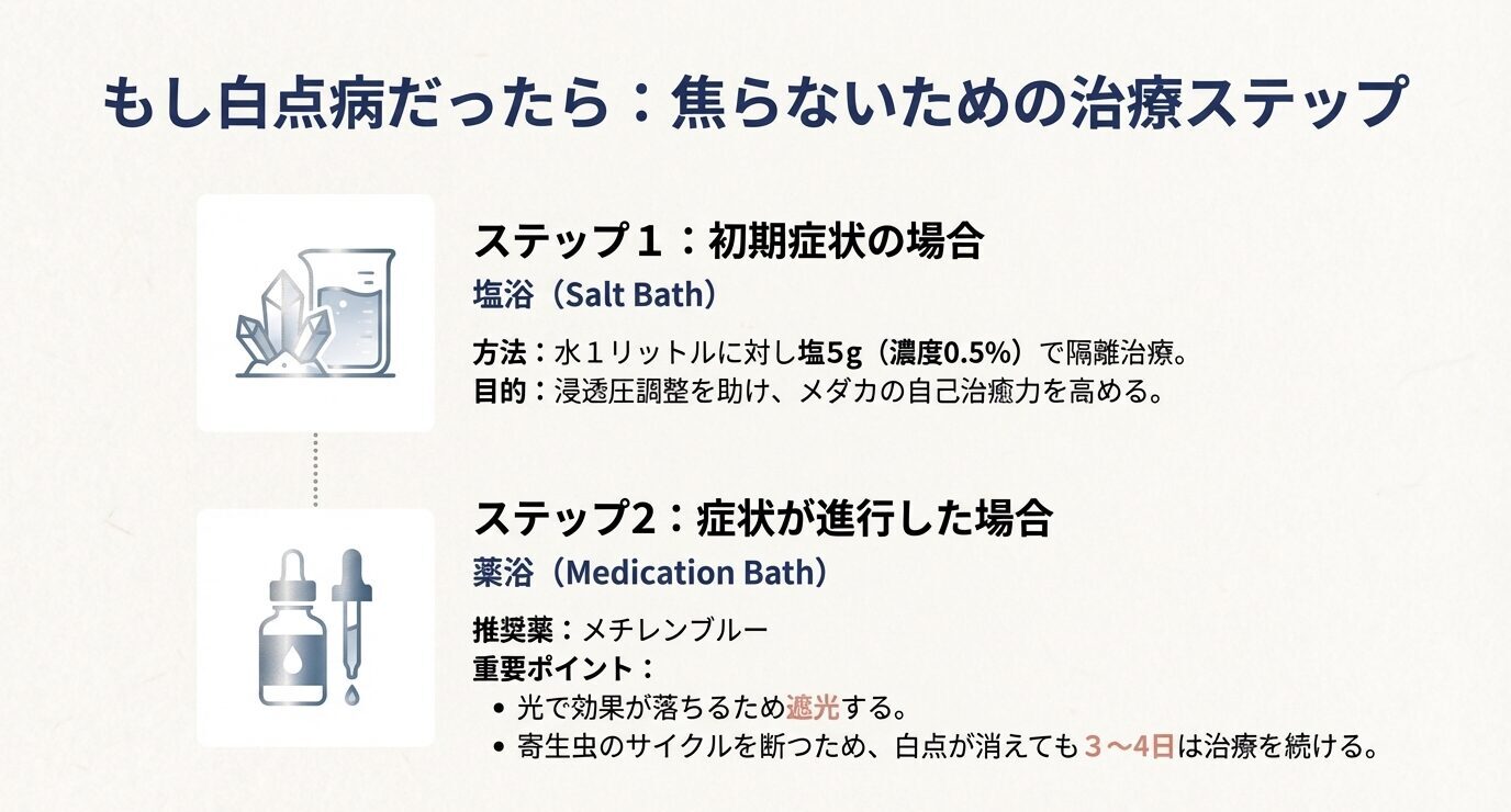 メダカの白点病に対する治療手順として、初期は塩浴、進行時はメチレンブルー薬浴を示した図解