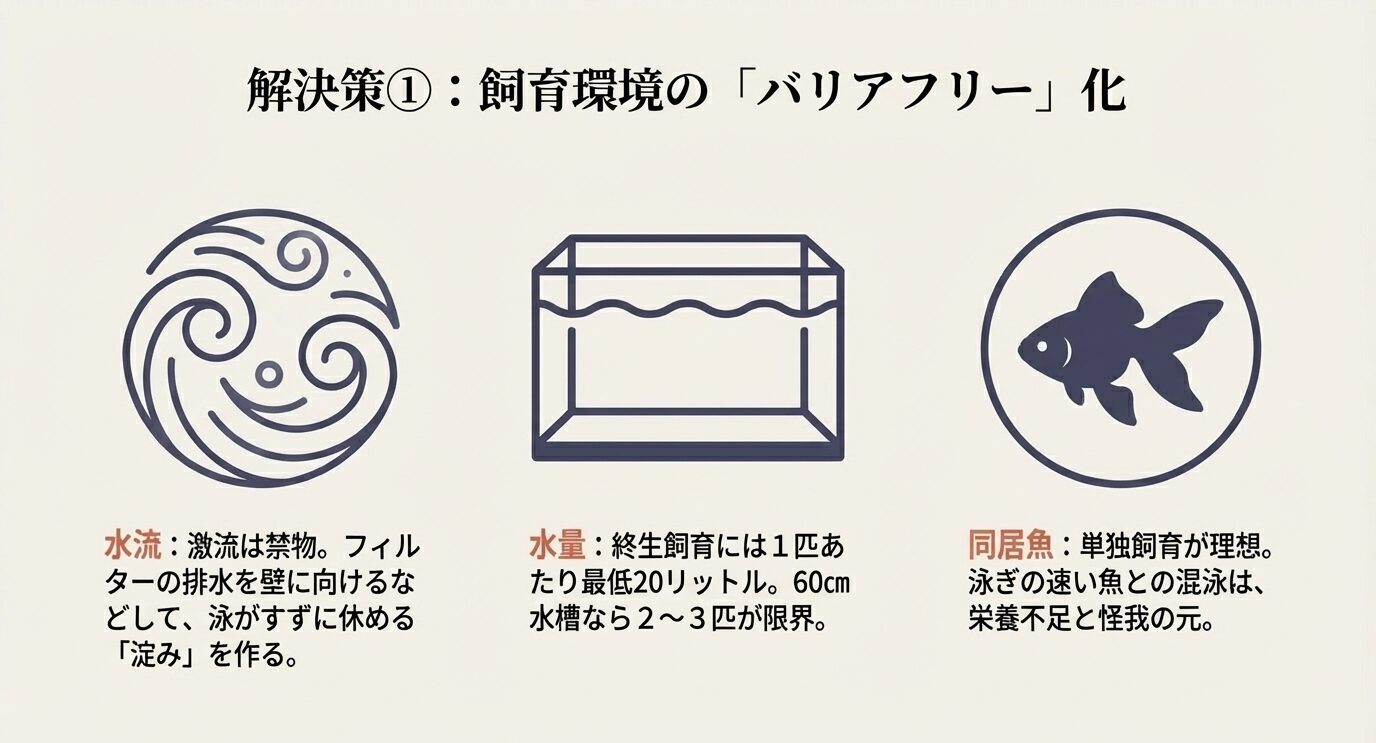 水流・水量・同居魚の3点をアイコンで示し、強い水流を避けて淀みを作る、終生飼育は1匹20L以上(60cm水槽は2〜3匹が限界)、混泳より単独飼育が理想と説明。