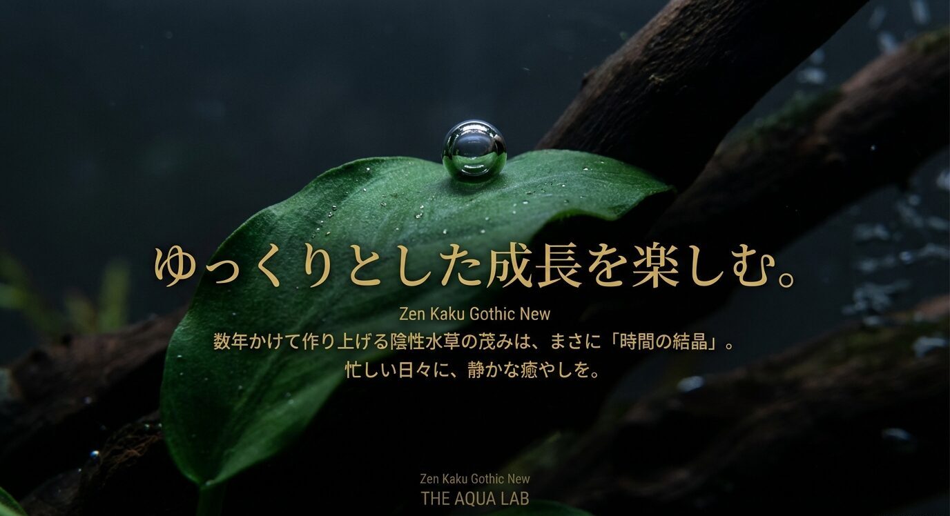 葉のクローズアップ写真に「ゆっくりとした成長を楽しむ。数年かけて作り上げる陰性水草の茂みは『時間の結晶』。忙しい日々に静かな癒やしを。」と表示された締めのメッセージ。