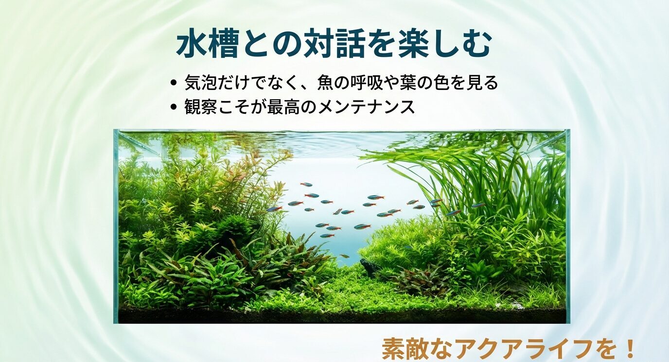 水草が茂る水槽写真とともに、「気泡だけでなく、魚の呼吸や葉の色を見る」「観察こそが最高のメンテナンス」「素敵なアクアライフを!」と書かれた締めのスライド。