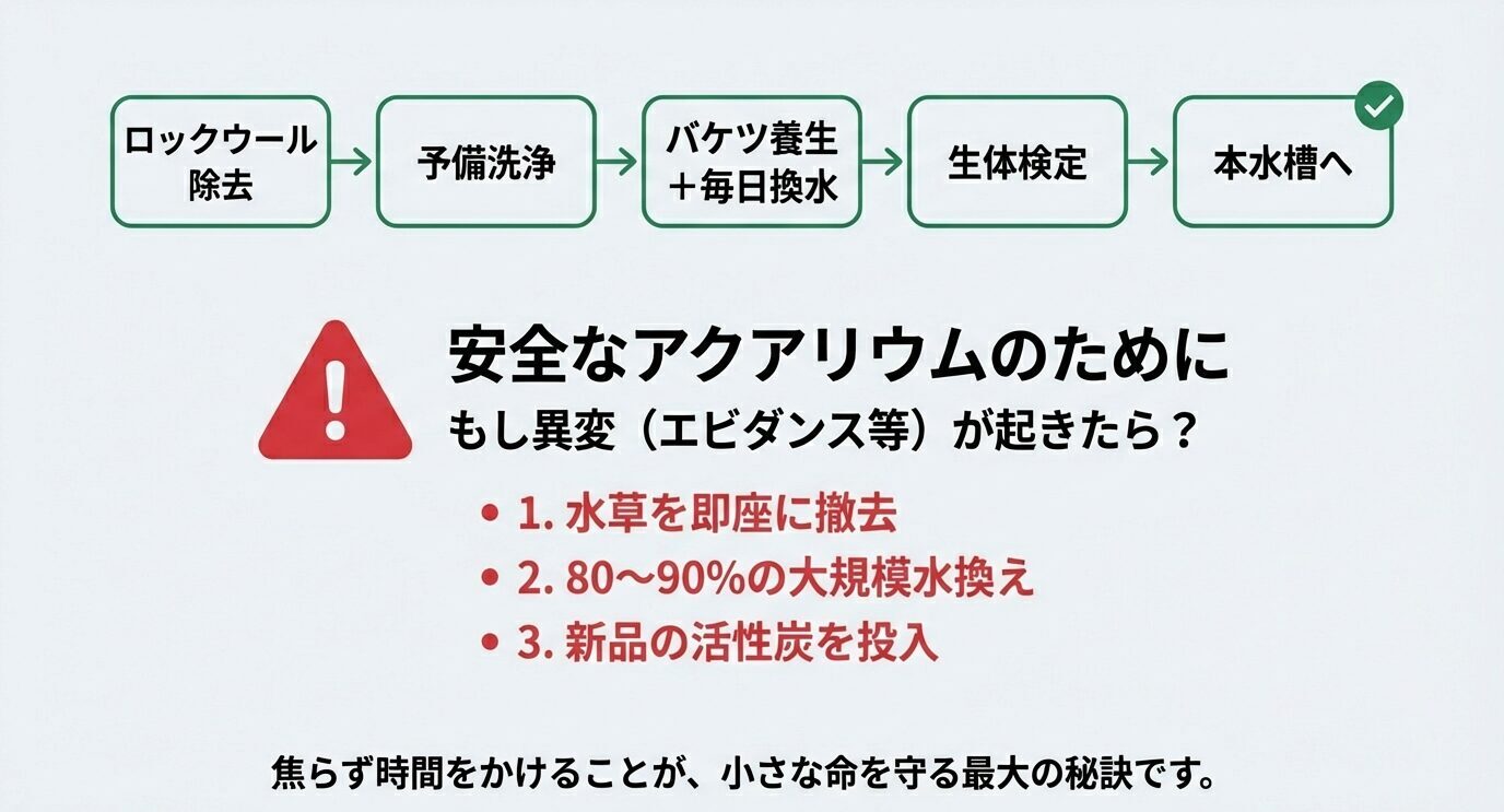 安全導入の流れ(ロックウール除去→予備洗浄→バケツ養生+毎日換水→生体検定→本水槽へ)を図解し、異変(エビダンス等)が起きたら「水草を即撤去」「80〜90%の大規模水換え」「新品の活性炭を投入」を行うと示す。