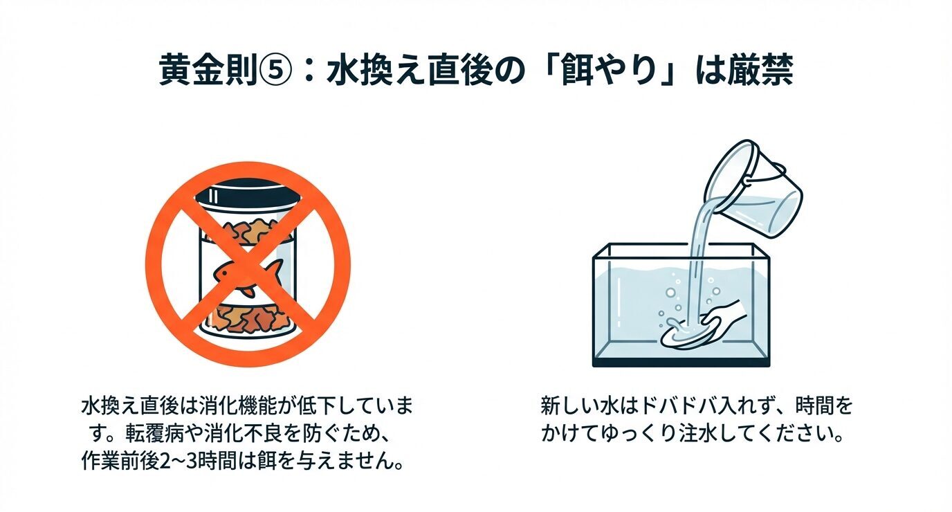 餌の容器に禁止マークの図と、バケツからゆっくり注水する図。水換え直後は消化機能が低下するため作業前後2〜3時間は餌を与えない、注水はドバドバ入れず時間をかける説明