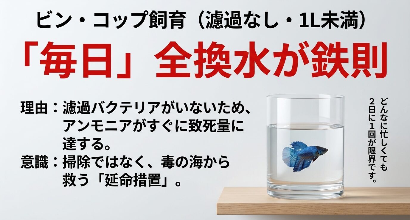 濾過なしで1L未満の容器はアンモニアがすぐ致死量に達するため、毎日100%の全換水が必要だと強調するスライド