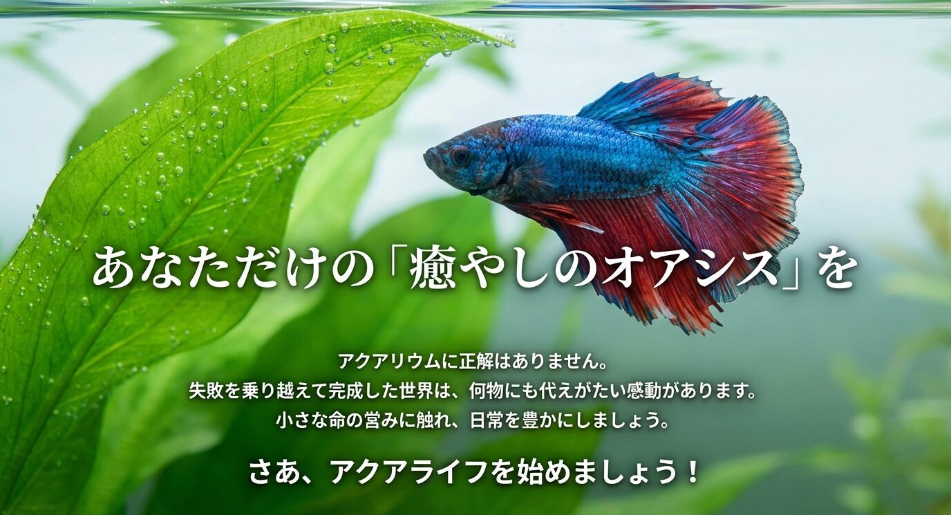 ベタの写真に「あなただけの癒やしのオアシスを」「さあ、アクアライフを始めましょう!」と書かれた締めスライド