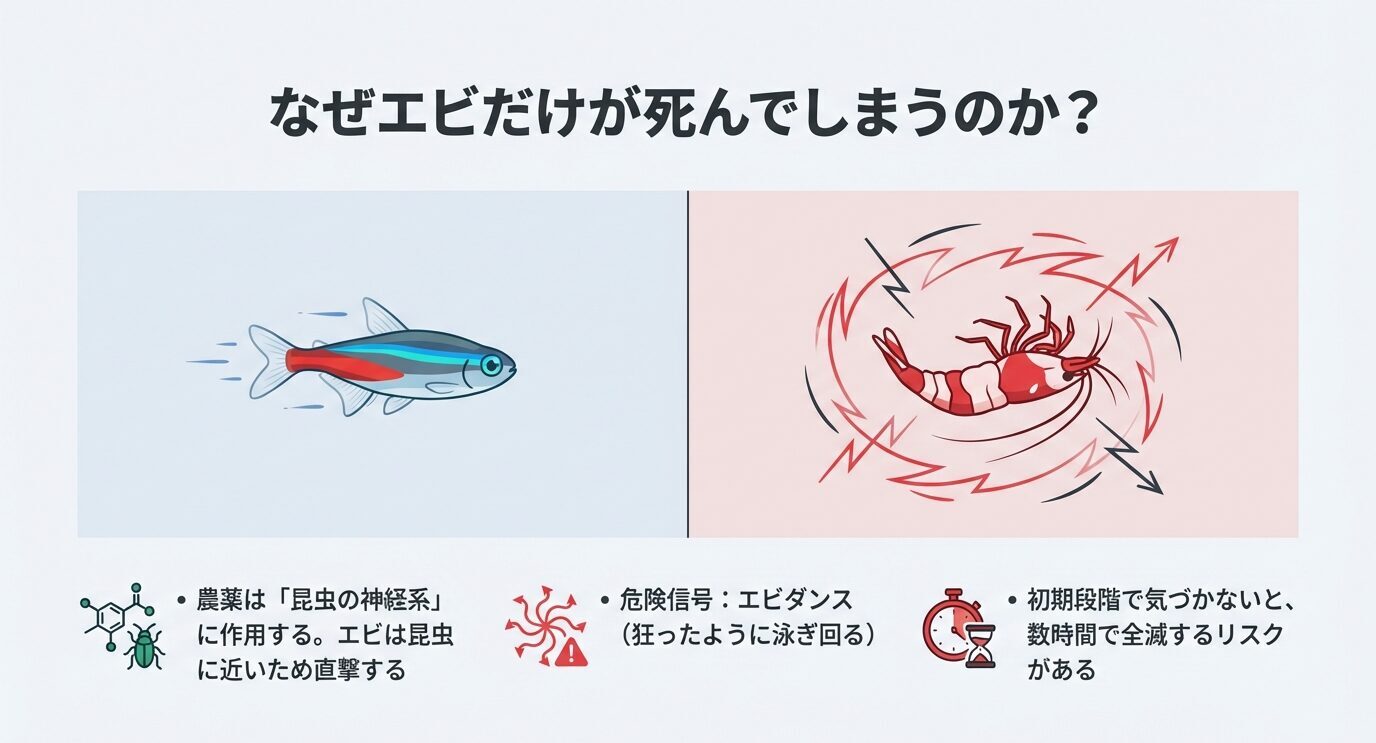 魚とエビのイラストを対比し、農薬が昆虫の神経系に作用するためエビに強く影響すること、危険信号が「エビダンス(狂ったように泳ぐ)」であること、初期で気づかないと数時間で全滅し得ることを示す。