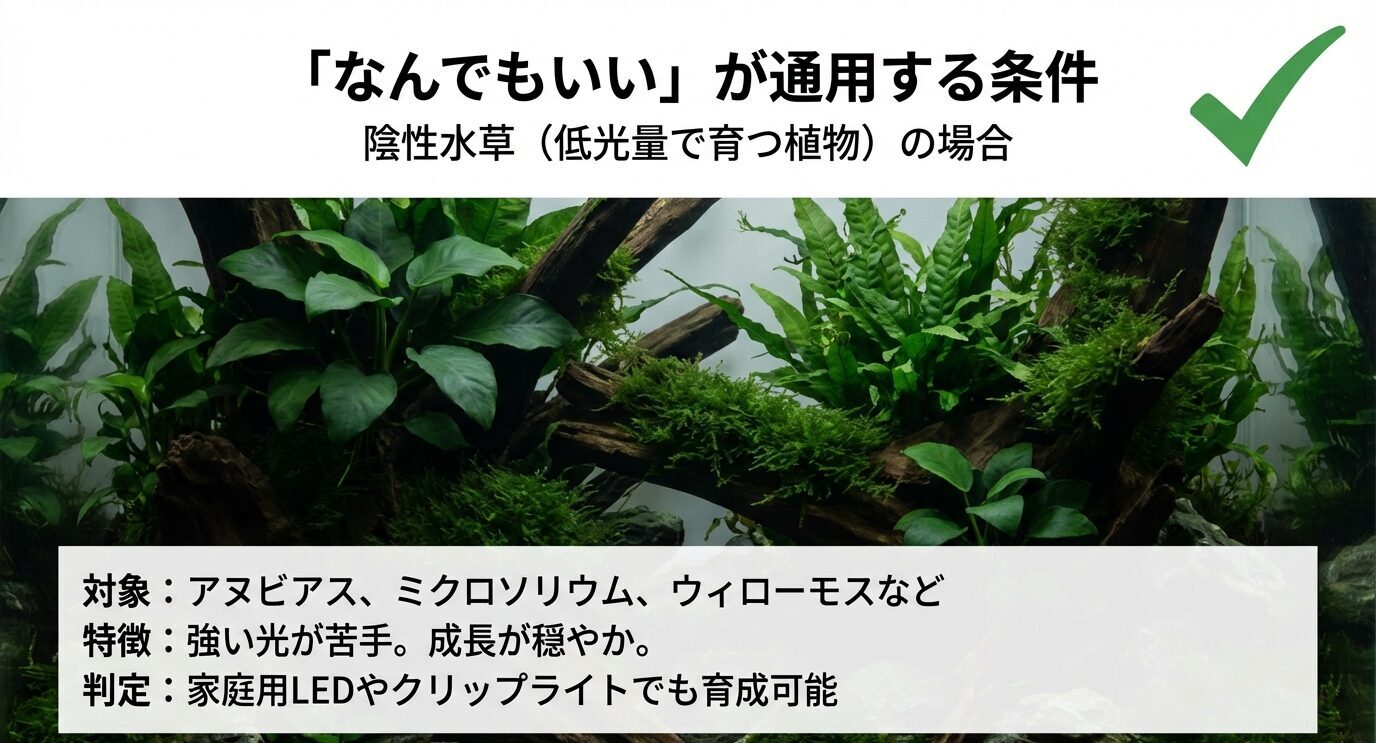 陰性水草の水景写真とチェックマーク。「アヌビアス、ミクロソリウム、ウィローモスなどは低光量でも育つため家庭用LEDでも可能」と条件をまとめたスライド。