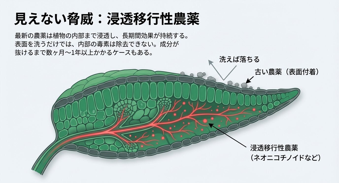 葉の断面図で、表面付着の古い農薬は洗えば落ちるが、浸透移行性農薬(ネオニコ等)は植物内部に広がり、除去に数か月〜1年以上かかる場合があることを示す。