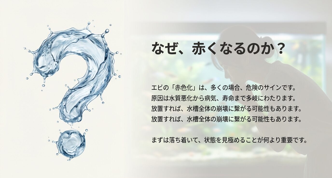 大きな疑問符のビジュアルとともに、赤変は危険サインで原因は水質悪化・病気・寿命など多岐、放置で水槽崩壊の恐れがあると説明するスライド。