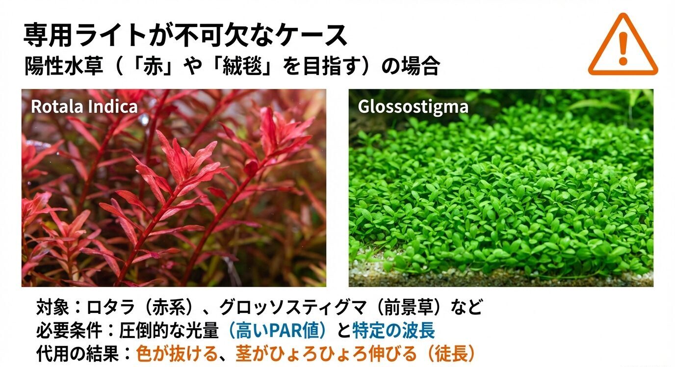 赤いロタラと前景草グロッソスティグマの写真。「陽性水草は高い光量(高PAR)と特定波長が必要。代用だと色抜け・徒長が起きる」と警告するスライド。
