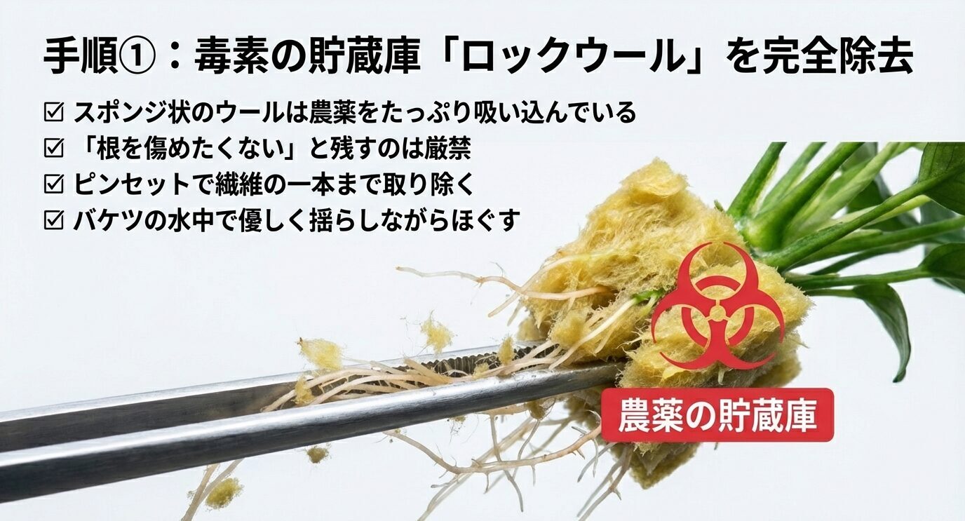 ピンセットでロックウールをほぐす写真とともに、スポンジ状のウールは農薬を吸い込みやすく、残すのは厳禁で、繊維1本まで取り除くこと、バケツの水中で優しく揺らしながら外すことを箇条書きで示す。