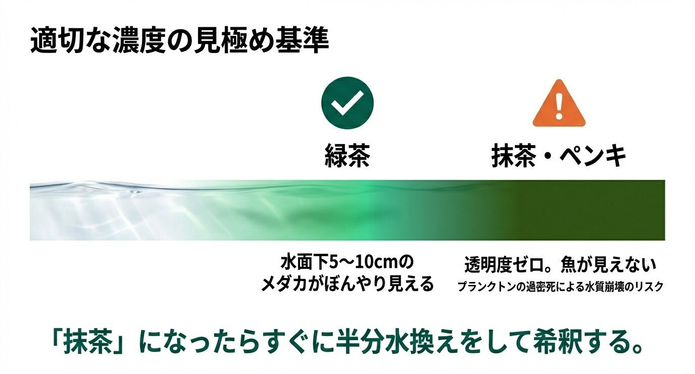 適正は“緑茶”程度で水面下5〜10cmのメダカがぼんやり見える状態、危険は“抹茶・ペンキ”で透明度ゼロになり水質崩壊リスクがあるため半分水換えで希釈と示すスライド