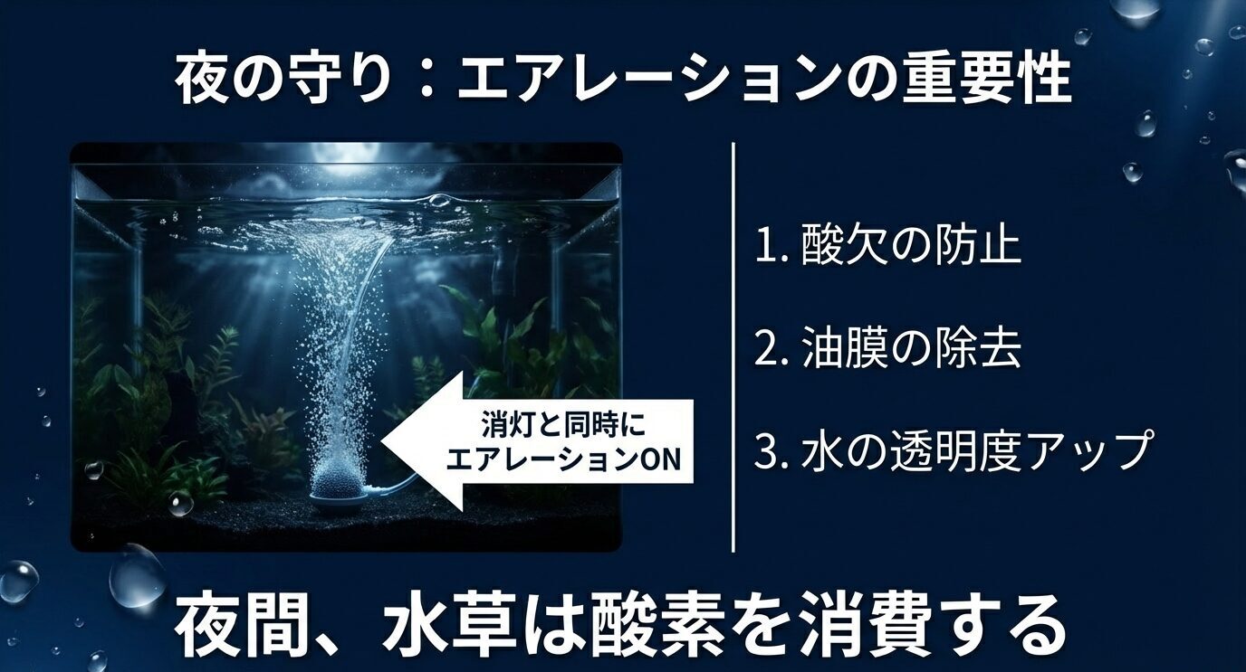 夜の水槽でエアレーションを入れる重要性を示すスライド。「消灯と同時にエアレーションON」「1.酸欠の防止 2.油膜の除去 3.水の透明度アップ」「夜間、水草は酸素を消費する」と書かれている。
