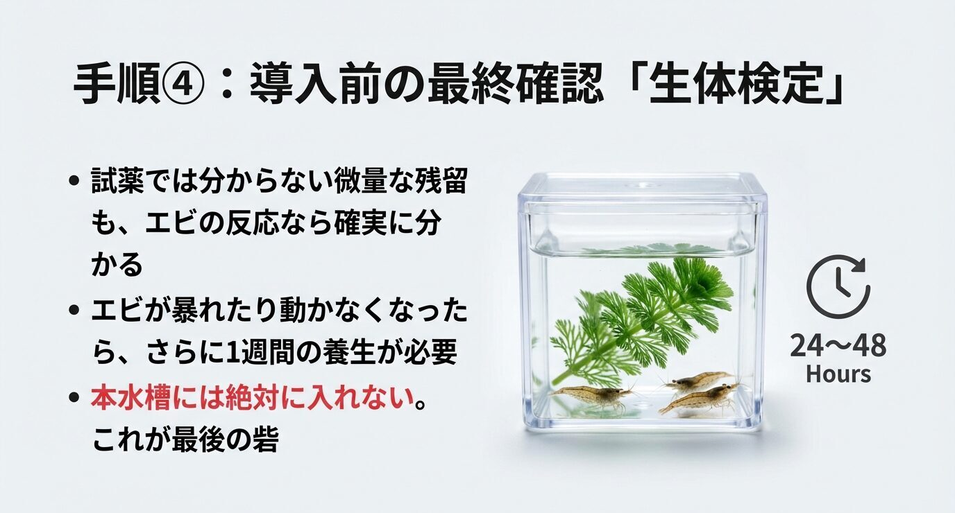 容器に水草とエビを入れて24〜48時間観察するイメージ。試薬では分からない微量残留もエビの反応で分かること、暴れる・動かない場合はさらに1週間養生すること、本水槽に直入れしないことを示す。