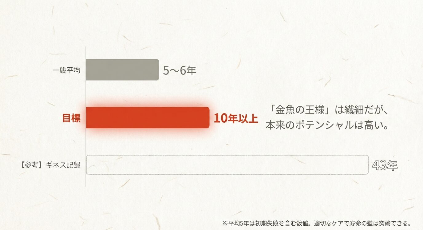 平均5〜6年と目標10年以上を棒グラフで比較し、参考としてギネス記録43年も示した図。