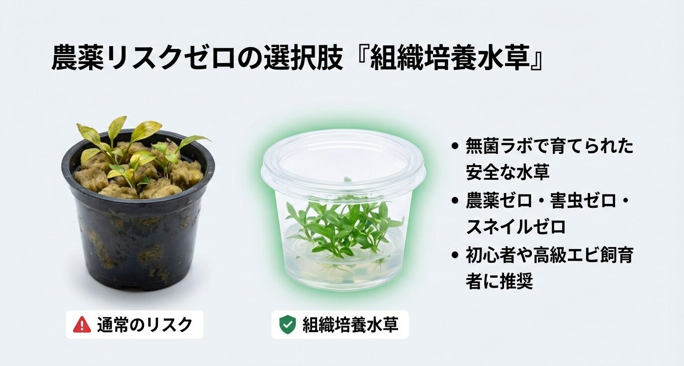 通常のポット水草と、カップ入りの組織培養水草を比較。無菌ラボで育てられ農薬ゼロ・害虫ゼロ・スネイルゼロで、初心者や高級エビ飼育者に推奨という要点を示す。