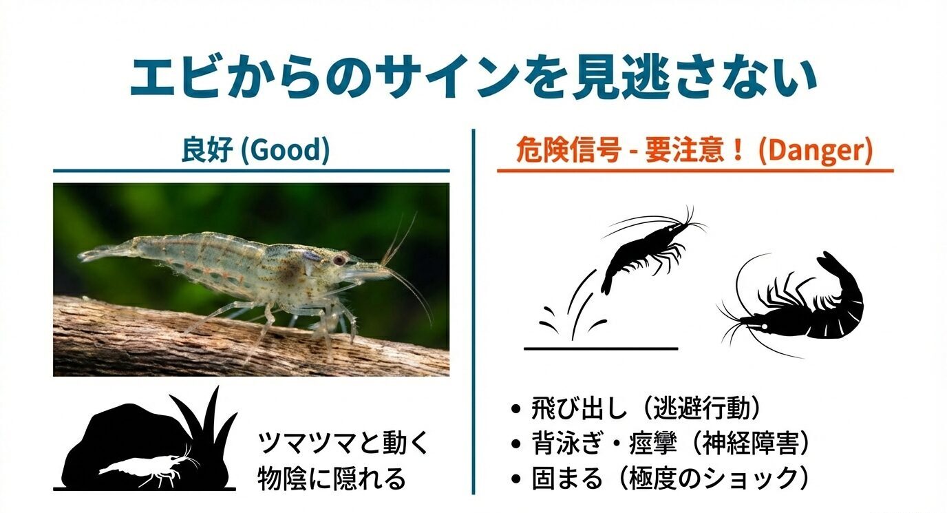 ヤマトヌマエビの行動を良好と危険に分類した図。良好はツマツマ動く・物陰に隠れる、危険は飛び出し・背泳ぎ/痙攣・固まると示すスライド