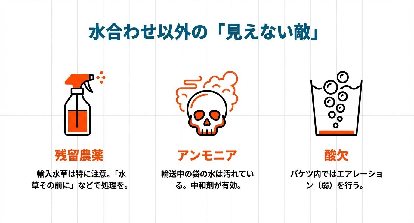 エビに致命的な「残留農薬」「アンモニア」「酸欠」をアイコンで示し、輸入水草の処理・輸送水の汚れ・バケツ内の弱エアレーションが重要だと伝えるスライド