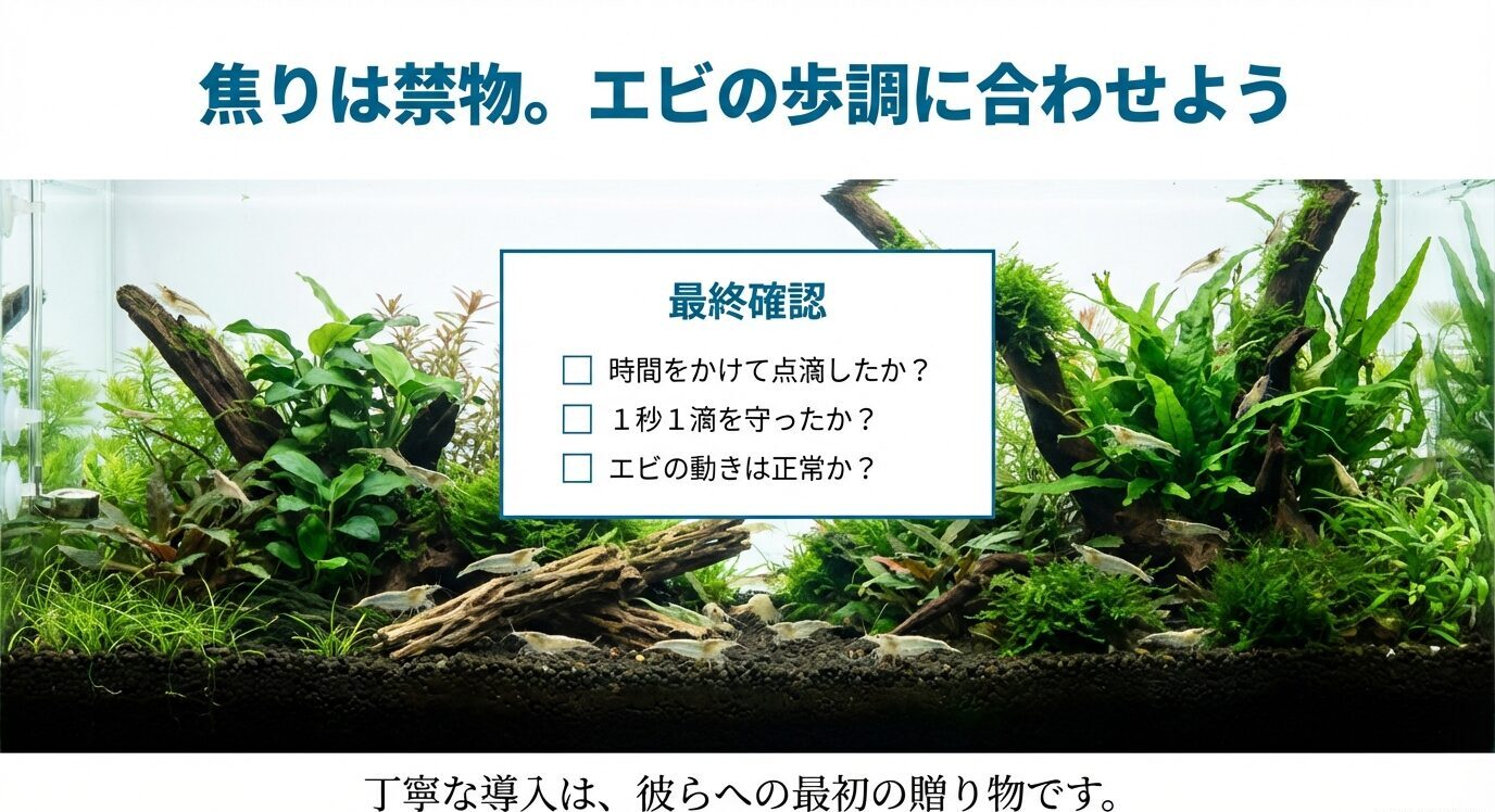 水草レイアウト水槽の写真に、点滴に時間をかけたか・1秒1滴を守ったか・エビの動きは正常かを確認するチェック項目が載ったスライド