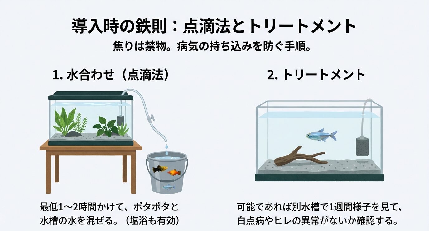 バケツにポタポタと水槽水を混ぜる点滴法(1〜2時間、塩浴も有効)と、可能なら別水槽で1週間様子を見るトリートメントの2本立て手順を図解。