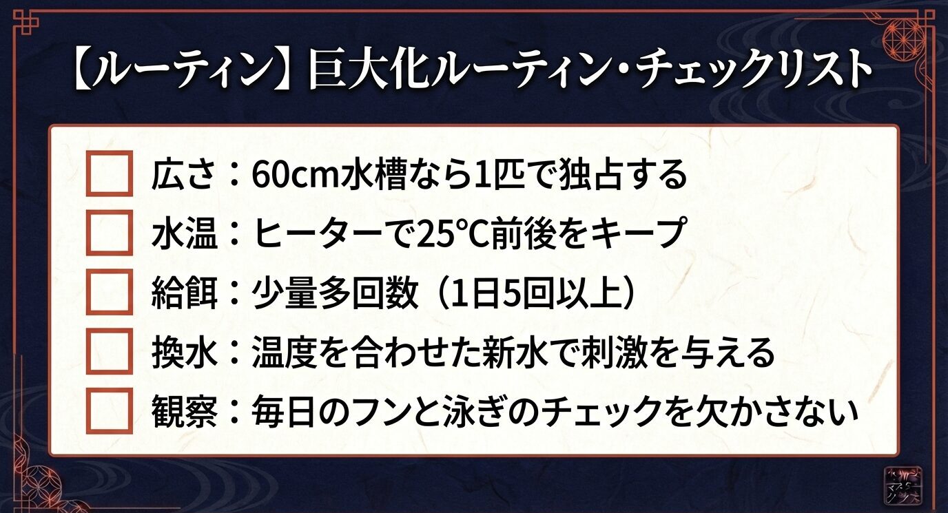 チェックリスト形式で「60cm水槽なら1匹で独占」「水温25℃前後」「給餌は少量多回数(1日5回以上)」「温度を合わせた新水で刺激」「毎日のフンと泳ぎをチェック」をまとめたスライド。