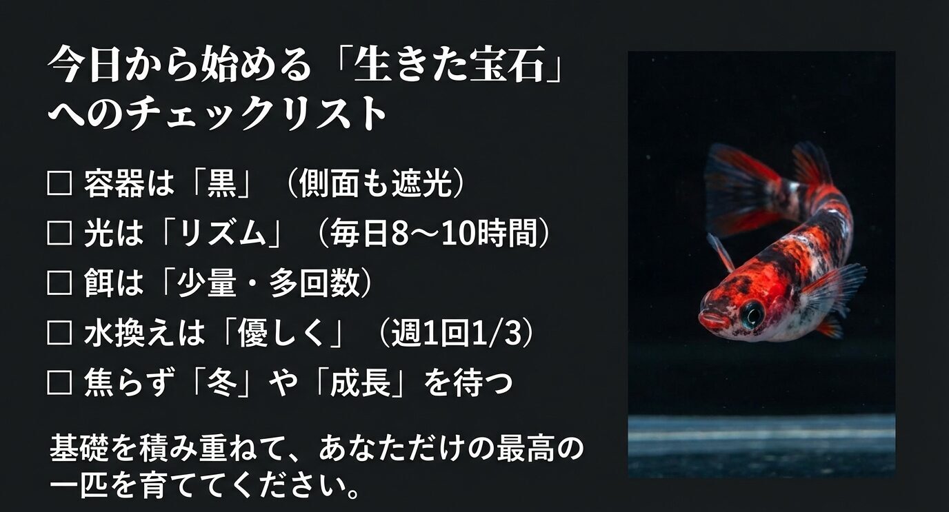容器は黒(側面も遮光)、光は毎日8〜10時間のリズム、餌は少量多回数、水換えは週1回1/3で優しく、焦らず冬や成長を待つという要点を箇条書きで示すスライド。
