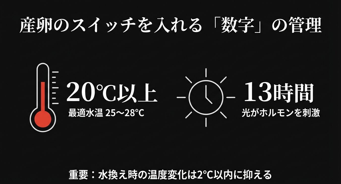 産卵を促す条件として水温20℃以上(最適25〜28℃)と日照13時間以上を示し、換水時の温度差は2℃以内が重要と強調する。