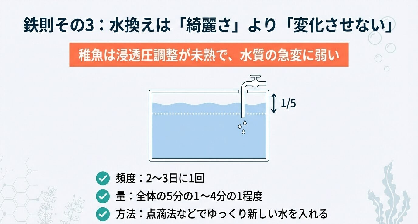 稚魚は浸透圧調整が未熟で水質急変に弱いことを強調し、換水は2〜3日に1回、全体の1/5〜1/4、点滴法などでゆっくり新水を入れると示す。