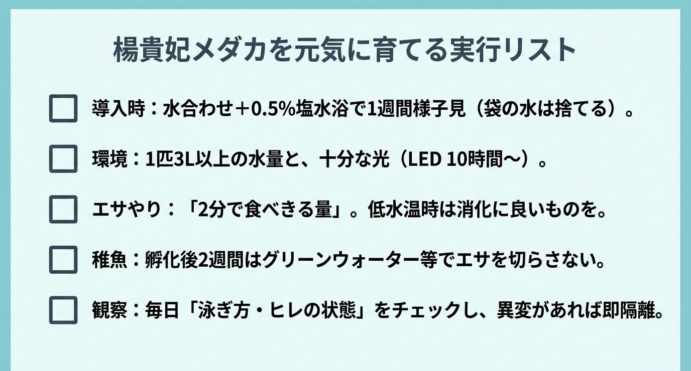 導入時は水合わせ+0.5%塩水浴で1週間、環境は1匹3L以上とLED10時間〜、エサは2分で食べきる量、稚魚はエサ切れを防ぐ、毎日泳ぎ方とヒレを観察して異変は隔離する、という要点をチェック形式で示すスライド