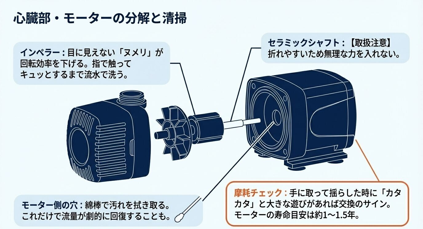 インペラー、セラミックシャフト、モーター内部の掃除箇所と、摩耗チェックのポイントを示した分解図。