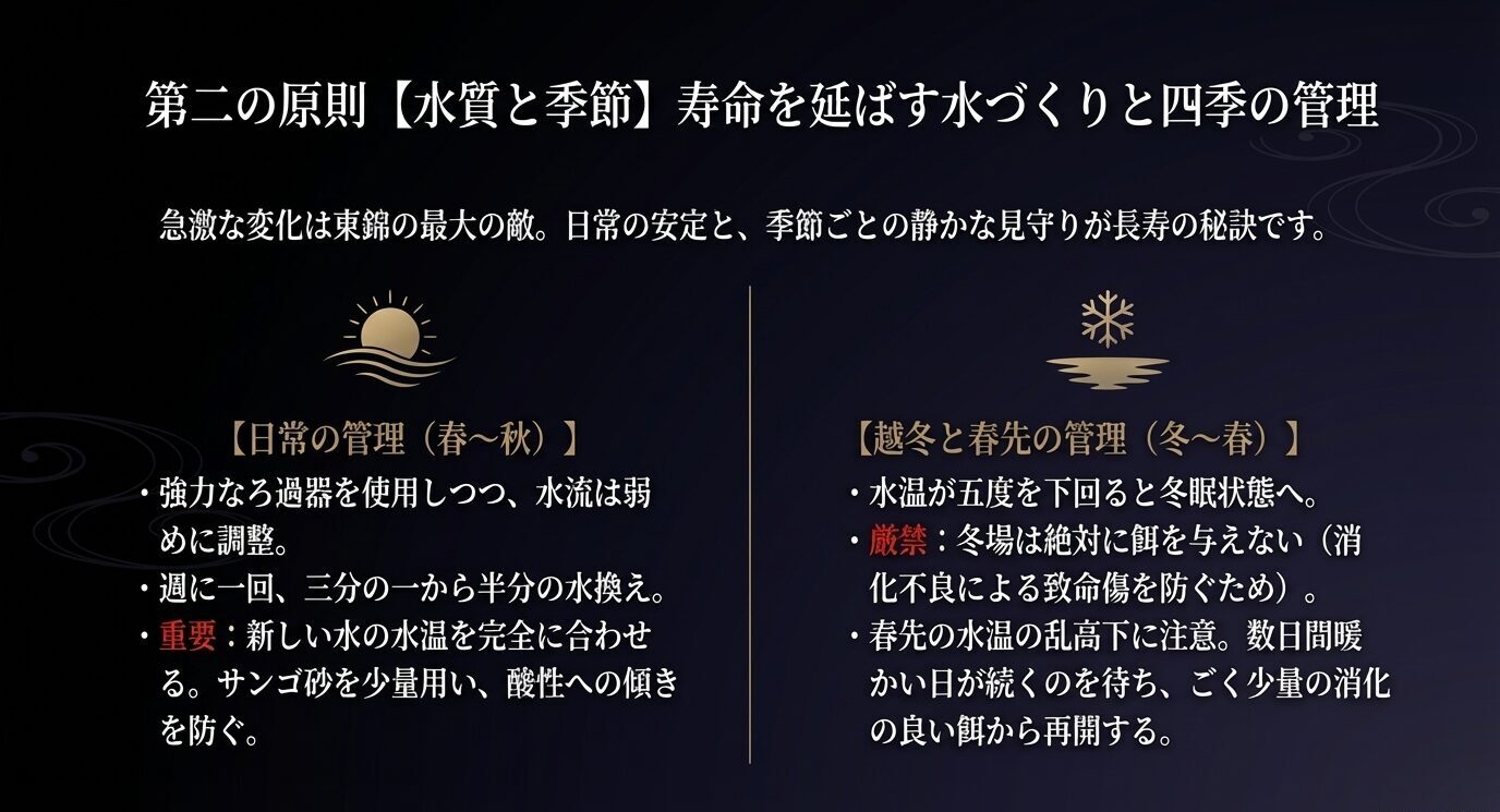 春から秋の日常管理と、冬から春の越冬・春先管理を左右に分け、ろ過、水換え、水温合わせ、冬の絶食などの要点をまとめたスライド。