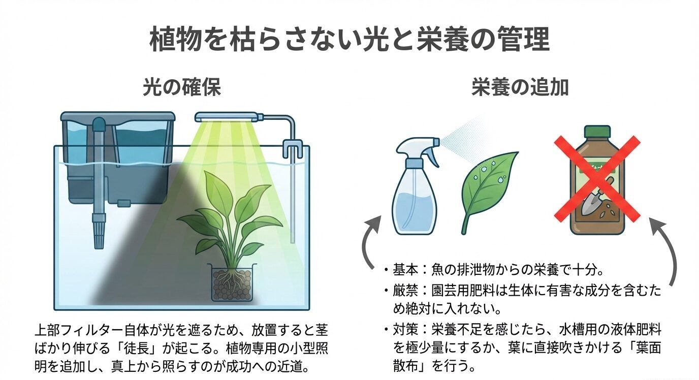 上部フィルターで植物に追加照明を当てる方法と、園芸用肥料を避けて葉面散布や水槽用液肥を使う注意点を示した図