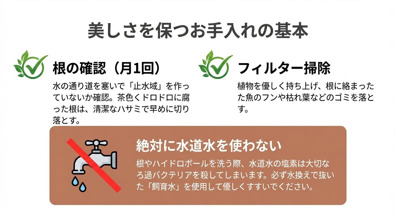 月1回の根の確認、フィルター掃除、水道水を使わず飼育水ですすぐ注意点をまとめたメンテナンス図
