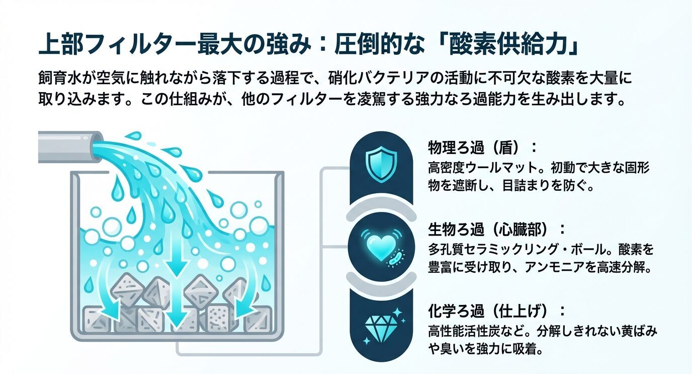 上部フィルターが酸素を取り込みながら、物理ろ過・生物ろ過・化学ろ過を段階的に行う仕組みを示した図
