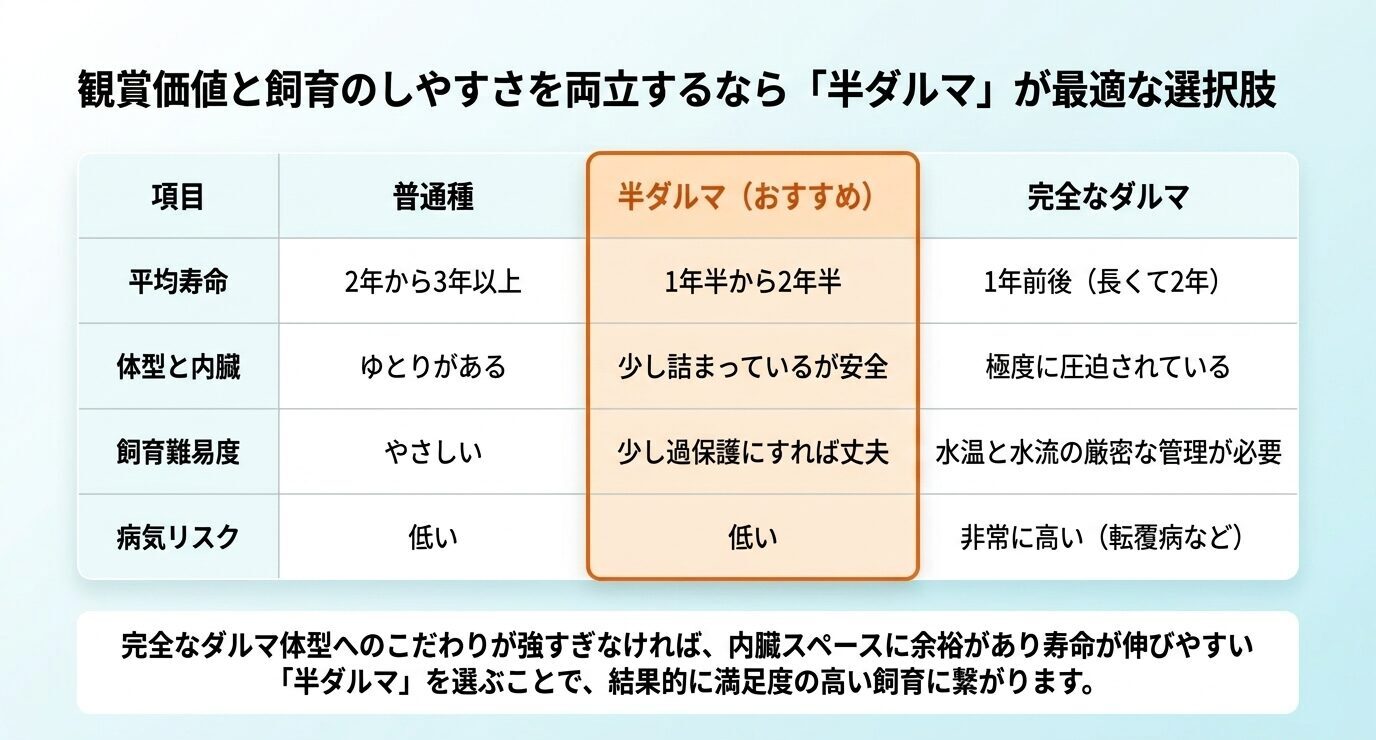 普通種、半ダルマ、完全なダルマについて、平均寿命、体型と内臓、飼育難易度、病気リスクを比較した表
