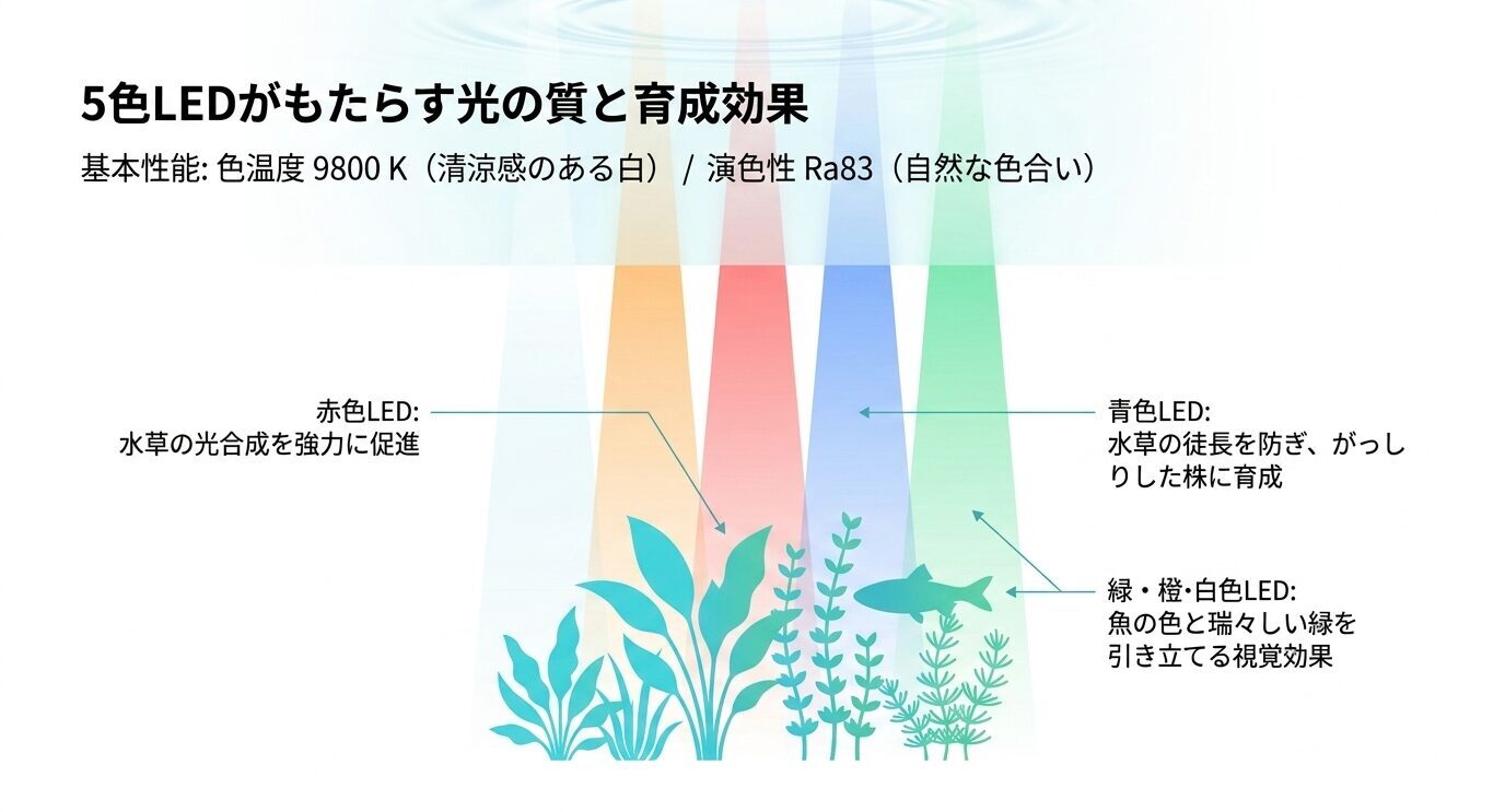5色LEDの役割を示す図。9800K・Ra83の基本性能に加え、赤色LEDは光合成促進、青色LEDは徒長防止、緑・橙・白系LEDは魚や水草の色をきれいに見せる効果を説明している。