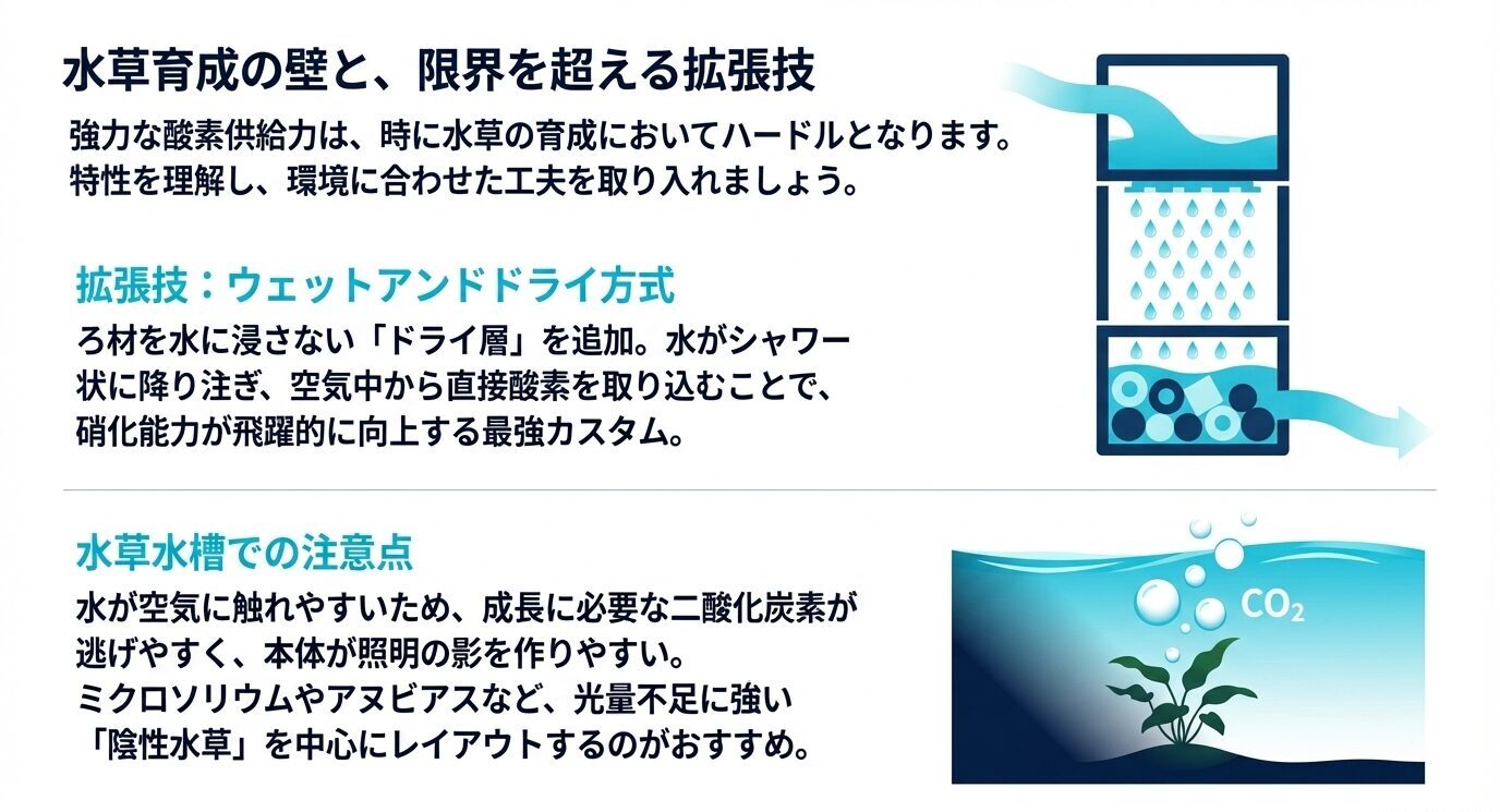 上部フィルター使用時の水草水槽の注意点と、ウェットアンドドライ方式によるろ過強化をまとめた図