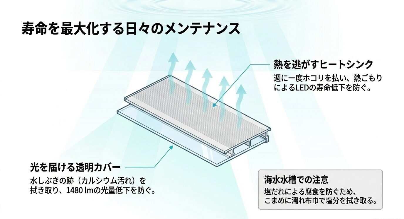 LEDライトの日常メンテナンスを示す図。ヒートシンクのほこり除去、透明カバーの水しぶき汚れ清掃、海水水槽では塩分を拭き取る必要があることを説明している。