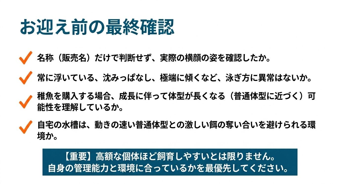 ダルマ系メダカを迎える前に、販売名だけで判断しないこと、泳ぎに異常がないこと、稚魚の体型変化、普通体型との餌の奪い合いを確認するチェックリスト