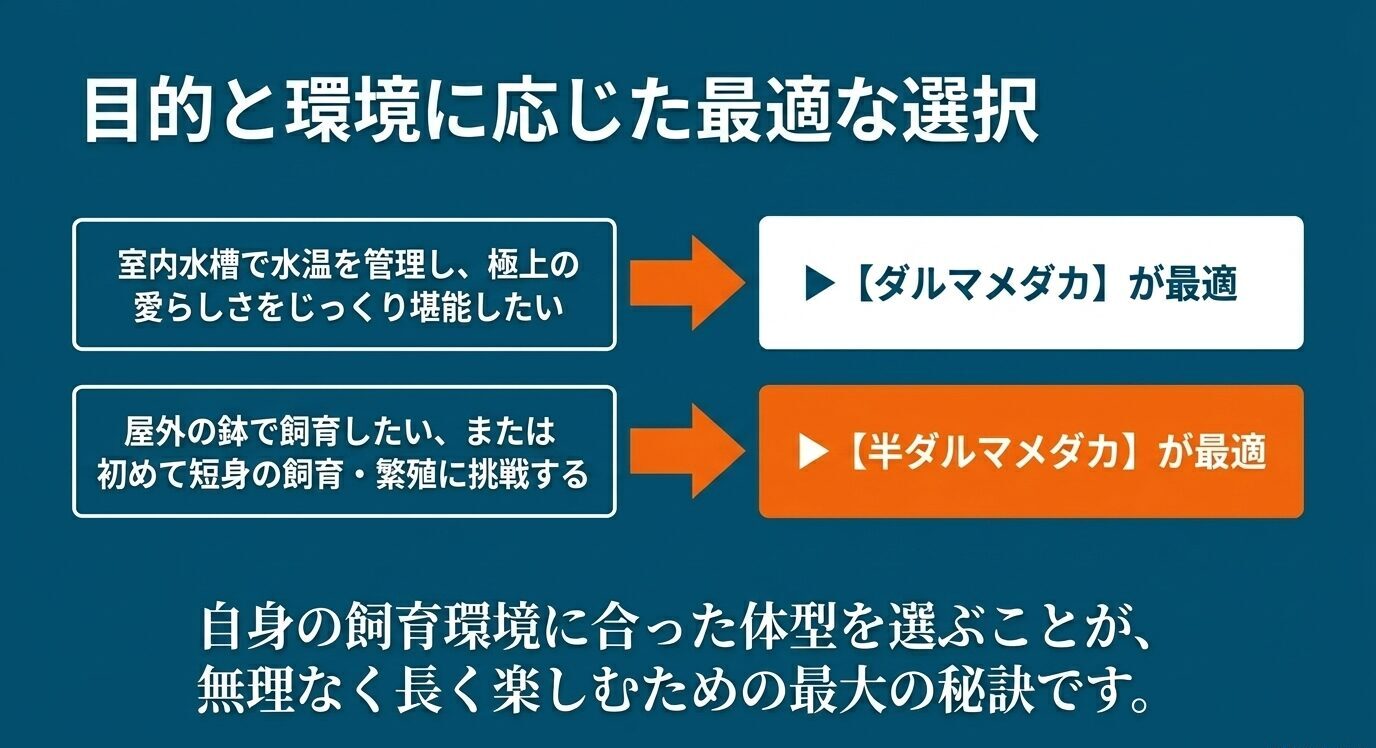 室内水槽で水温管理しながら観賞するならダルマメダカ、屋外飼育や初めての短身体型には半ダルマメダカが向いていることを示した選択図