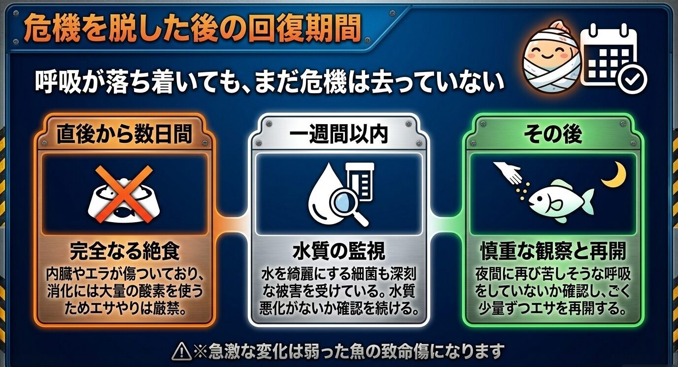 酸欠直後から数日間の絶食、一週間以内の水質監視、その後の慎重な観察と給餌再開を時系列で示した図