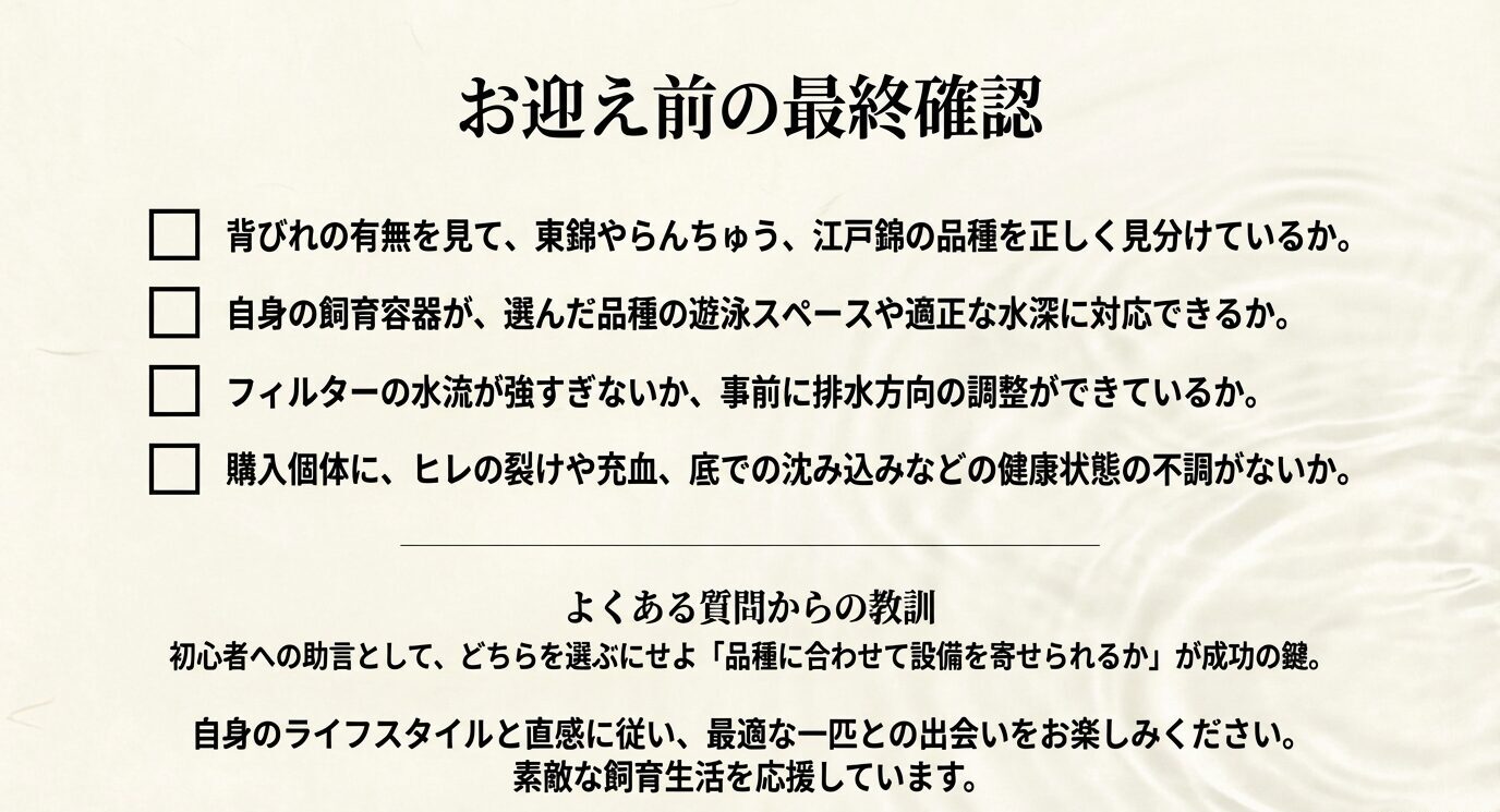 背びれの確認、飼育容器の水深と遊泳スペース、水流調整、購入個体の健康状態を確認し、品種に合わせて設備を整える重要性をまとめた最終確認図