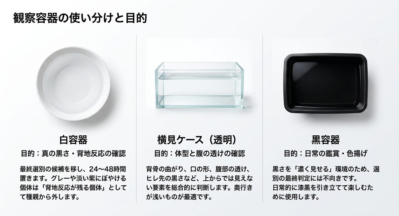 白容器、横見ケース、黒容器の目的と使い分けを示した比較スライド