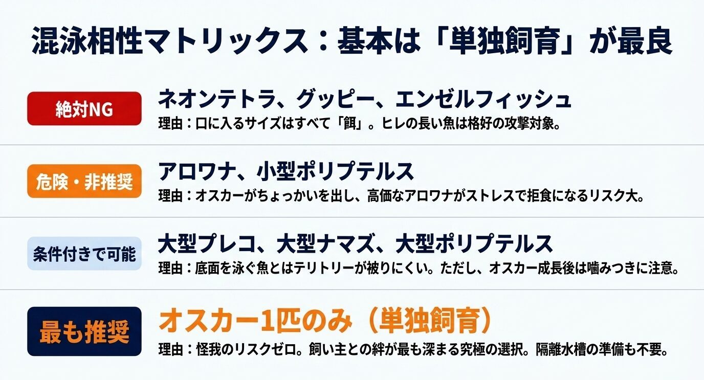 オスカーとの混泳相性を、小型魚、アロワナ、大型プレコ、ポリプテルス、単独飼育などに分けて整理したスライド