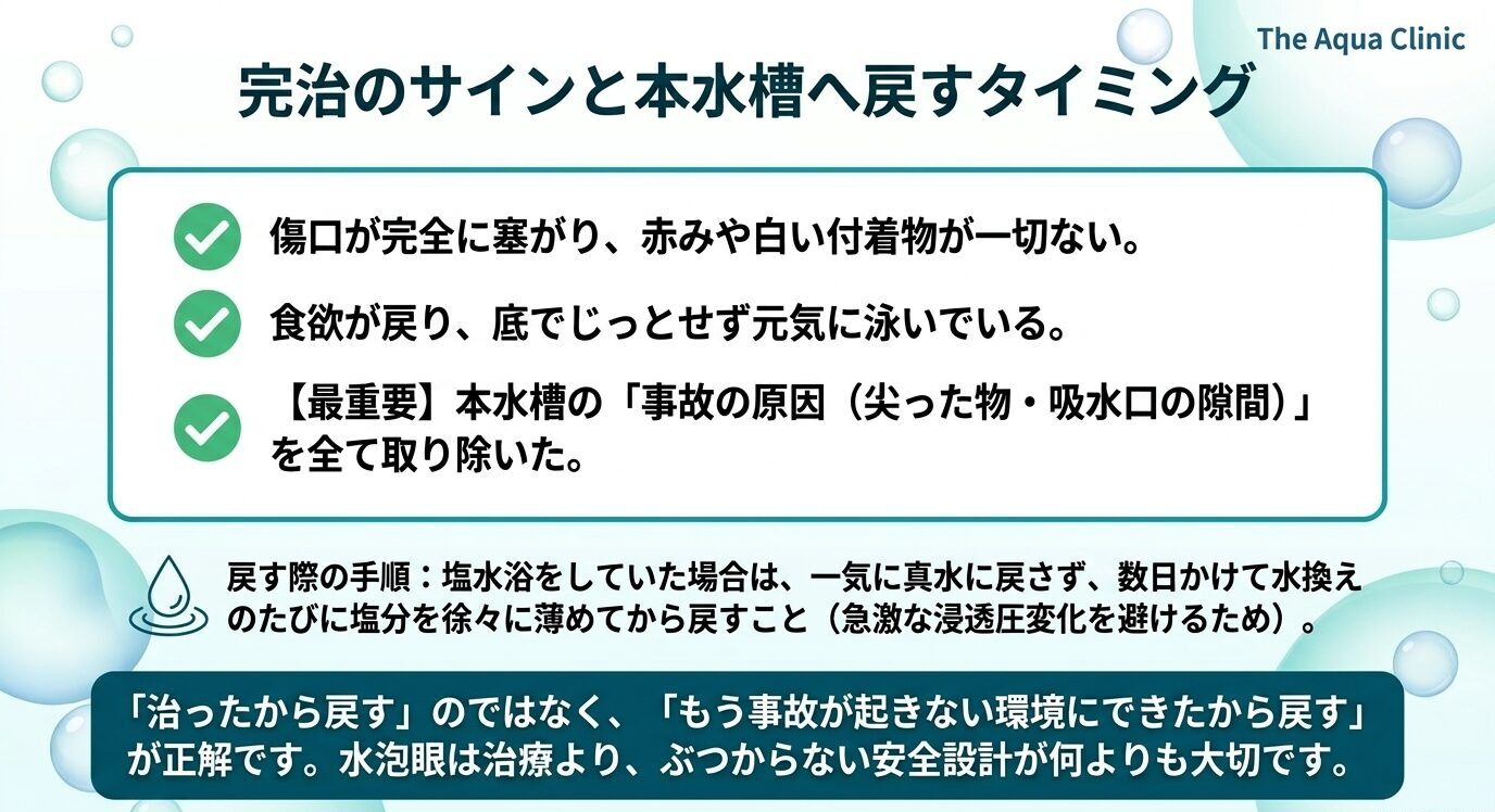 水泡眼を本水槽へ戻す前に、傷口が完全に塞がり、赤みや白い付着物がなく、食欲と泳ぎが戻り、尖った物や吸水口の隙間など事故原因をすべて取り除いたことを確認するチェックリスト