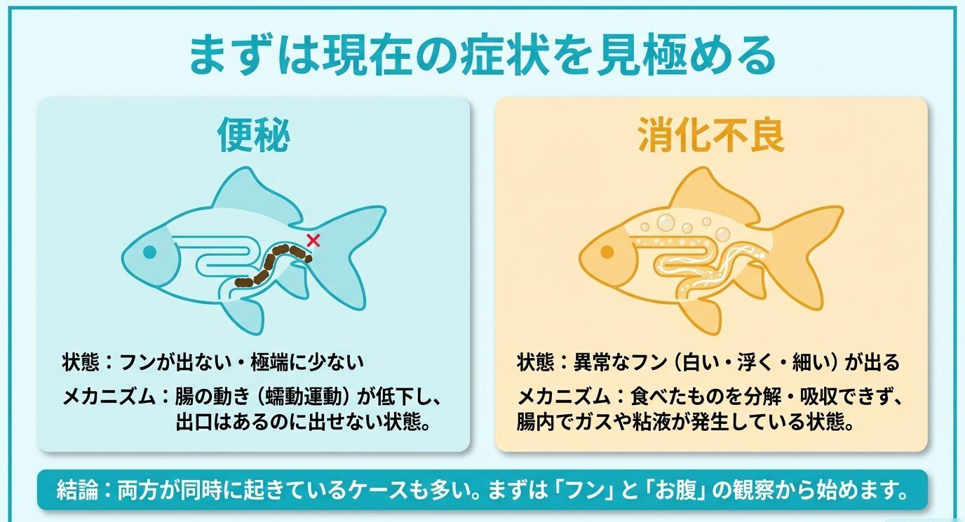便秘はフンが出ない状態、消化不良は白い・浮く・細い異常なフンが出る状態として比較した図